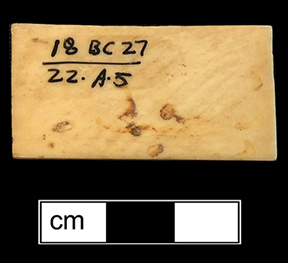 Ivory Domino. 1.5" x .75" - from 18BC27. The game of dominoes  originated in China and made its way to Italy in the early 18th century. Game pieces were often made of ivory and ebony (The Strong). 
